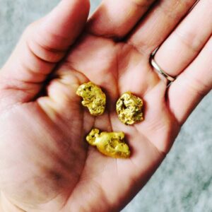 Raw Gold Nuggets for Sale – Authentic Investment Gold